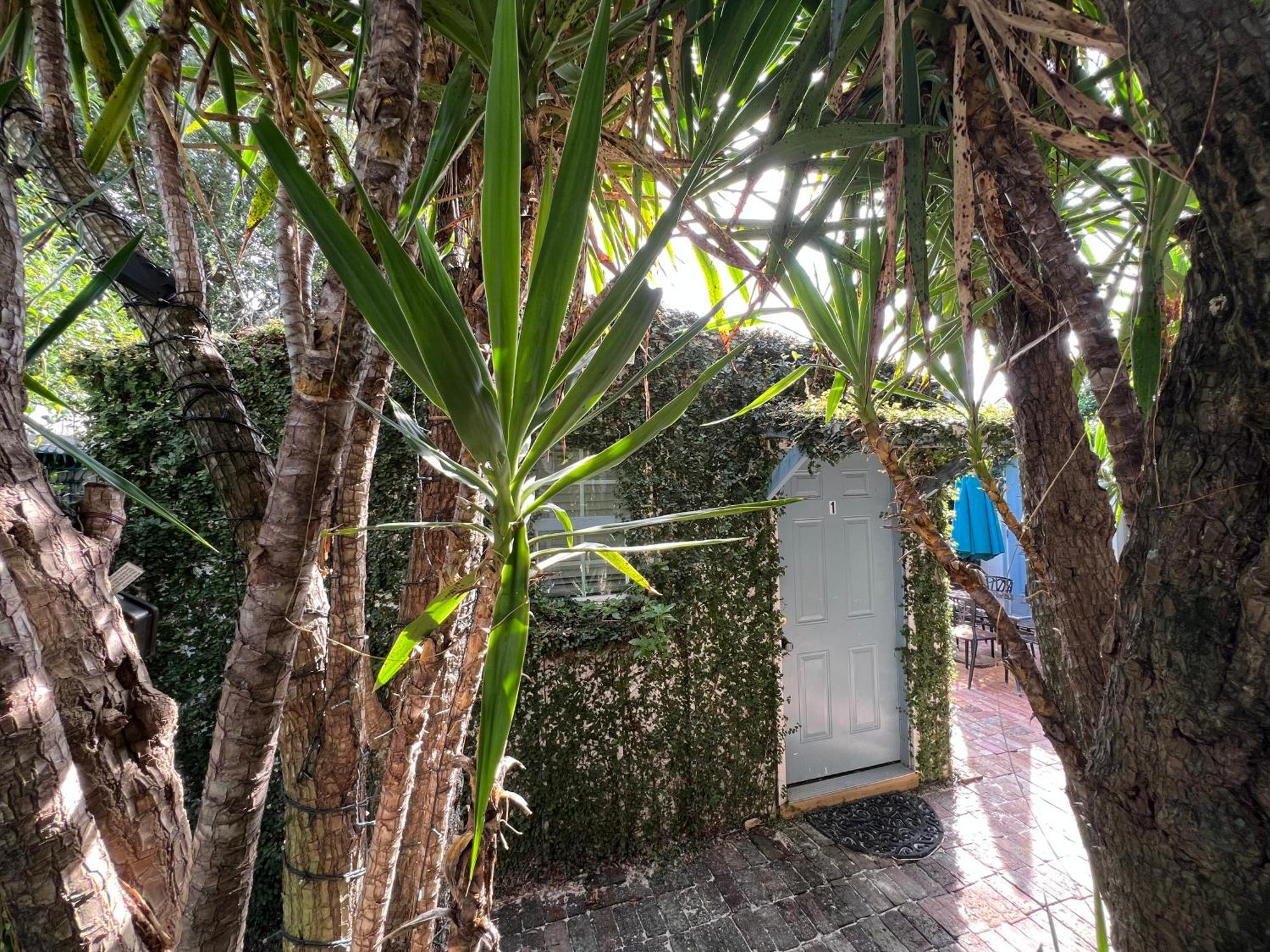 Studio Apartment Antonine ニューオーリンズ エクステリア 写真